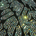 AB Crystal Angel Wings Iron On Rhinestone Heat Transfer Bling Patch